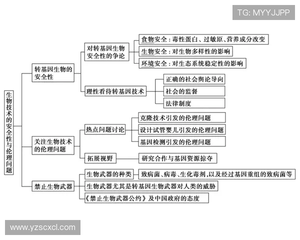 乒乓球运动的魅力与发展历程：从起源到现代化技术的突破与创新